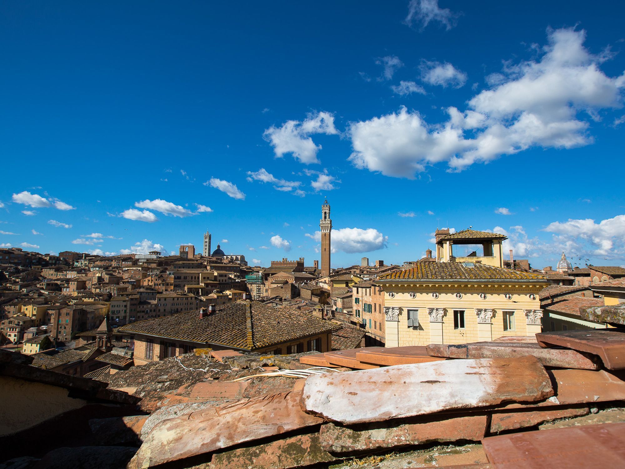 Appartamento Panoramico San Martino 12 Сієна Екстер'єр фото